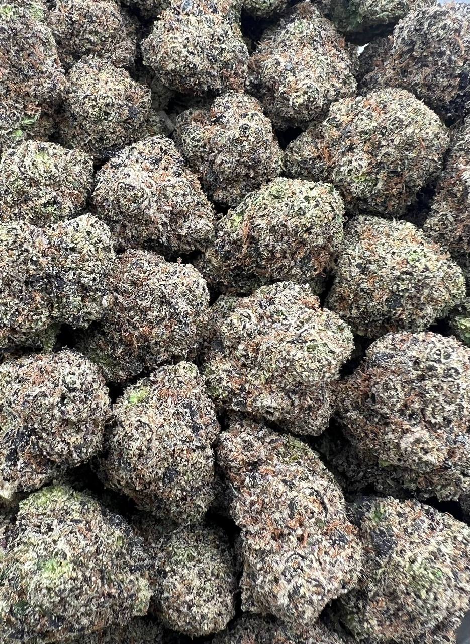 Gas Mask strain image